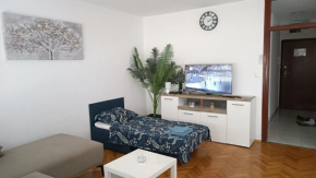 Viki Zagreb
